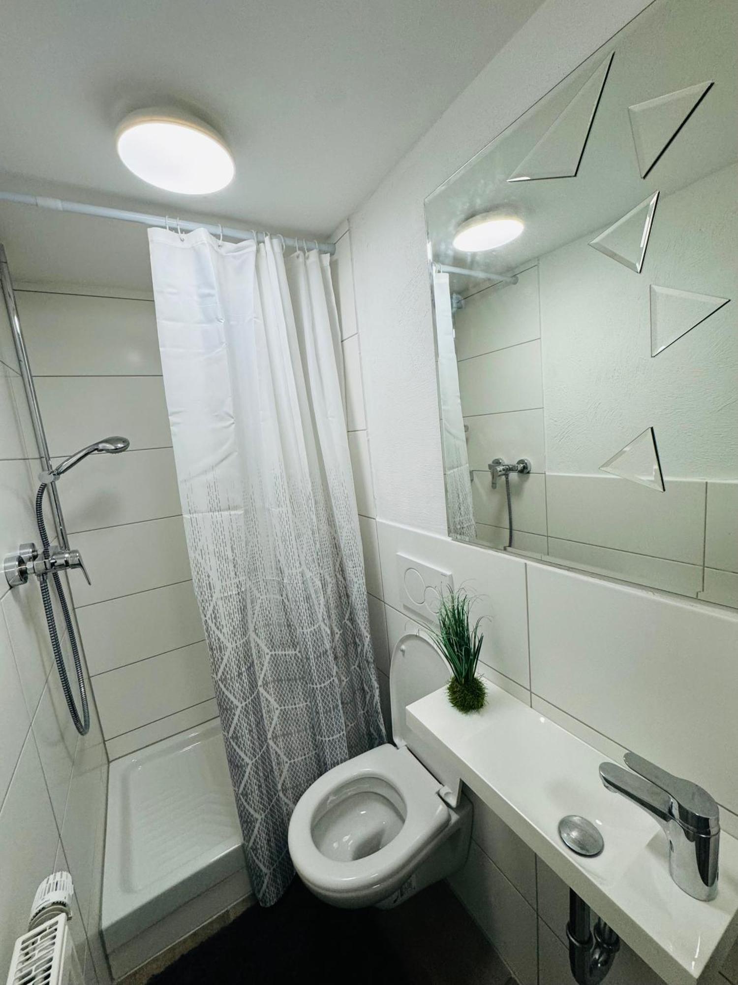 Ruhiges Flussufer Koblenz (Rhineland-Palatinate)